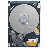 Dell HDD Int. 400AUUT