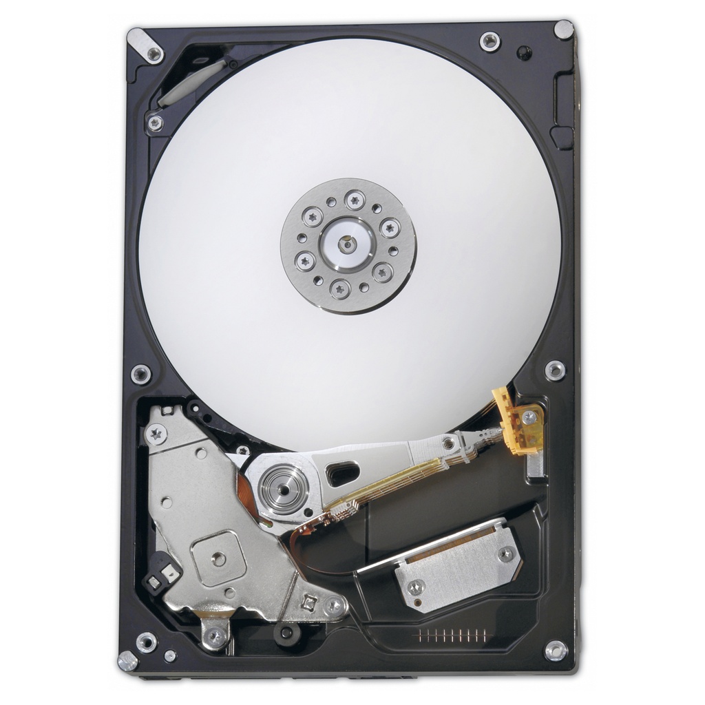 Fujitsu HDD Int. S26361F3907L100