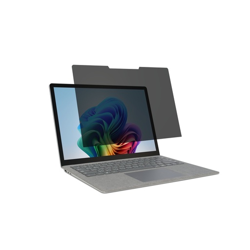 Privacy Screen Filter 2-Way Removable 628994