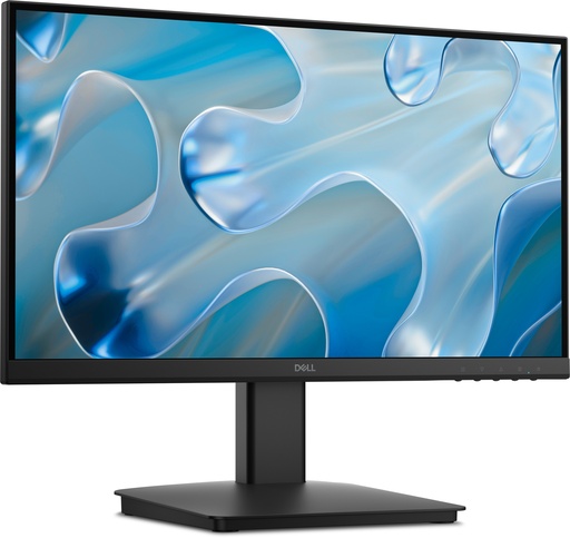 Dell Moniteur DELLSE2225HM