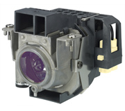 Nec Lamp 50031755