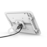 Compulocks iPad 10.2 Lock and Security Case Bundle WOLF102WCL
