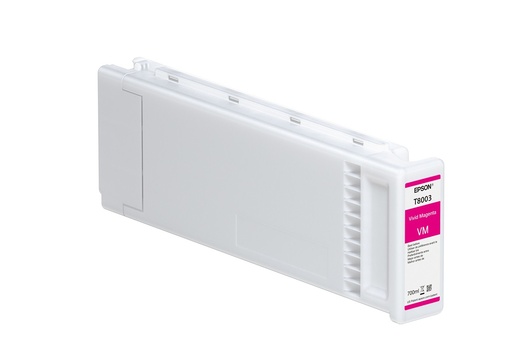 Epson Inktpatroon C13T890300