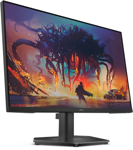 Dell Monitor DELLSE2425HG