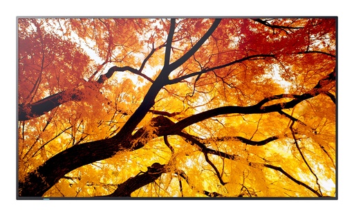 Nec Smart Signage Solution PNM502