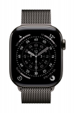 42mm Slate Milanese Loop
