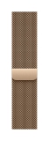 Apple 40mm Gold Milanese Loop