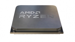 AMD Processor (CPU) 100000000263