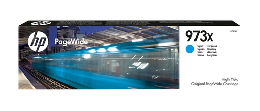HP Inktpatroon F6T81AE