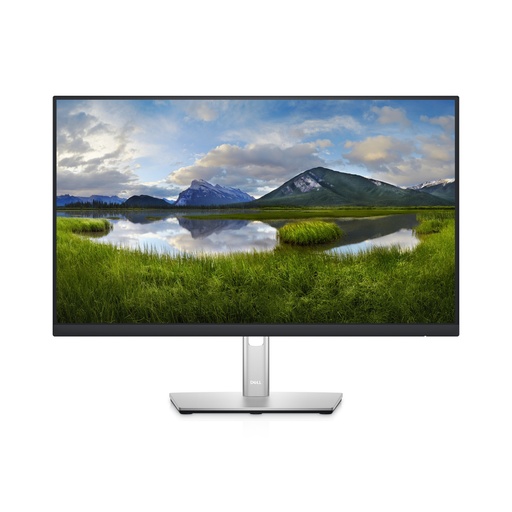 Dell Moniteur DELLP2422HE