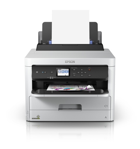 Epson Inktpatroon C13T01D100