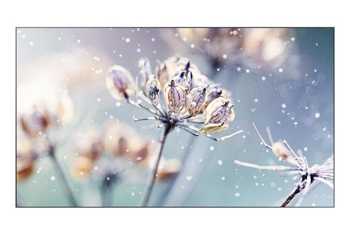 Samsung Monitor LH46VMRUBGBXEN