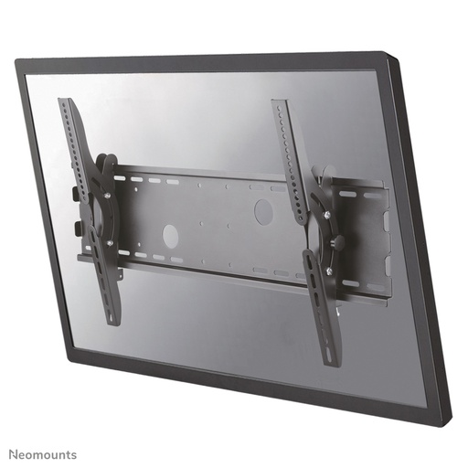 Newstar wall mount PLASMAW200BK
