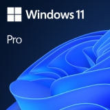 Microsoft Software OS FQC10528