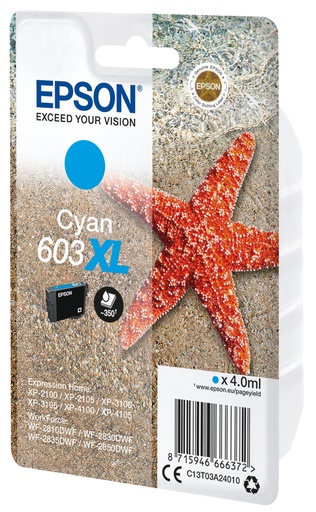 Epson Inktpatroon C13T03A24010