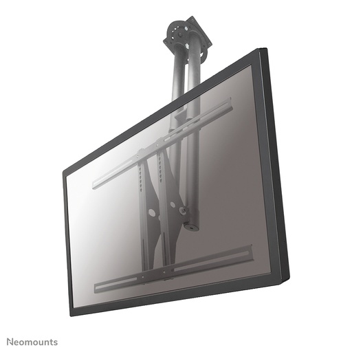 Newstar ceiling mount PLASMAC100
