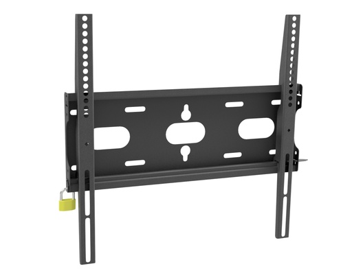 Iiyama Mount MDWM4040