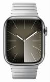 Apple 42mm Link Bracelet