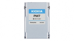 Kioxia SSD Intern KPM71RUG30T7