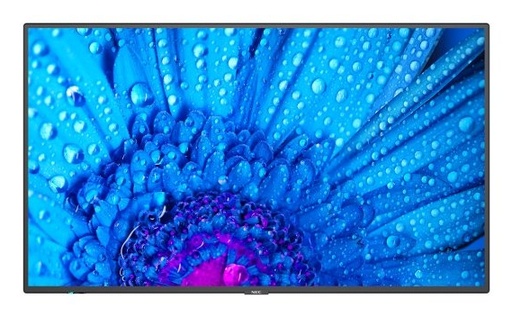 MultiSync M981 Direct LED 24/7