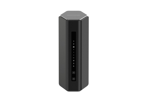 Netgear Routeur RS500100EUS