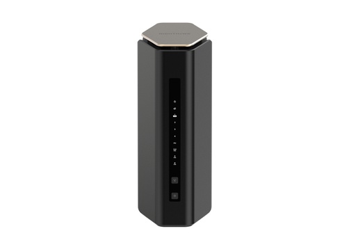 Netgear Routeur RS600100EUS