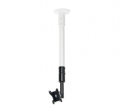 Flat Screen Ceiling/Desk Mount with Ti