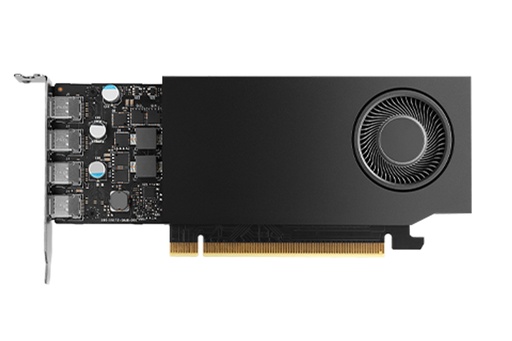 HP Carte graphique AV8J4AA